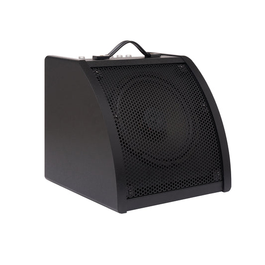 Medeli AP30 Amfi | 30W | Enstrüman Amfisi