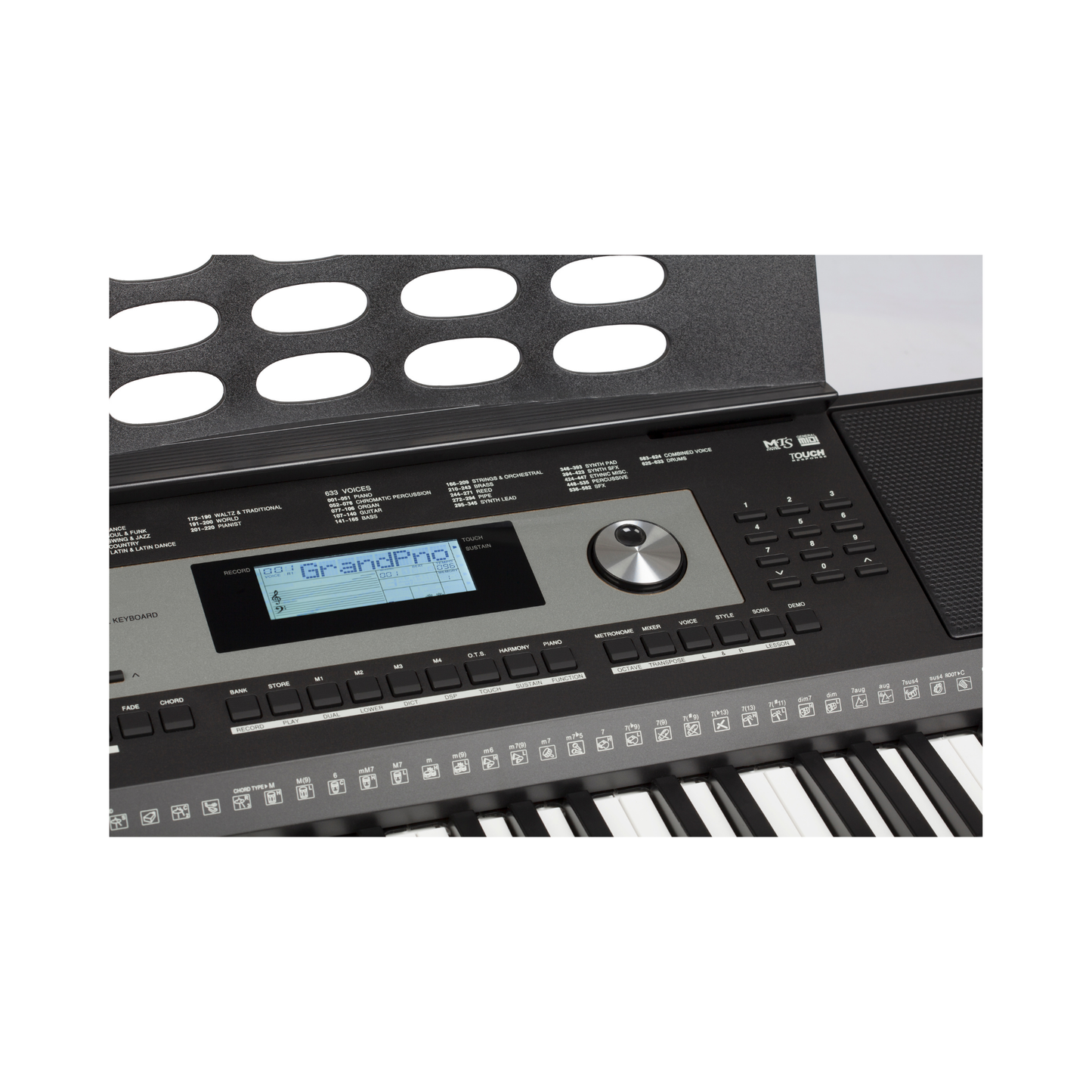 Medeli M331 – 61 Tuş, Gerçek Dokunma Hissiyatı, Profesyonel Deneyim