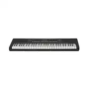 Dante d115 61 Işıklı Tuşlu Org - MIDI & Ses, LED Ekranlı, USB-C, Taşınabilir 2