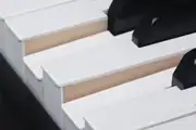 Medeli DP650K Dijital Piyano 4