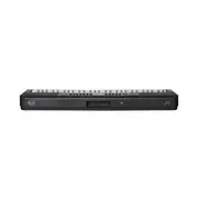 Dante d110 61 Tuşlu Org - LED Ekranlı, 300 Ton, USB MIDI, Taşınabilir Elektronik Klavye 3