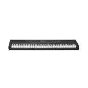Dante d110 61 Tuşlu Org - LED Ekranlı, 300 Ton, USB MIDI, Taşınabilir Elektronik Klavye 2